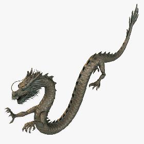 Chinese Dragon 1